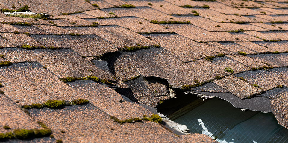 p_roof_1326039992