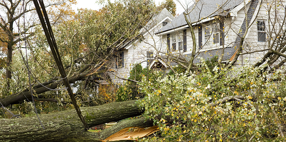Hurricane season insurance guide