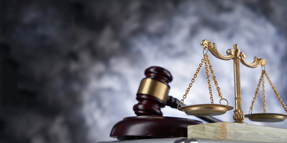 Legal System Abuse: State of the Risk