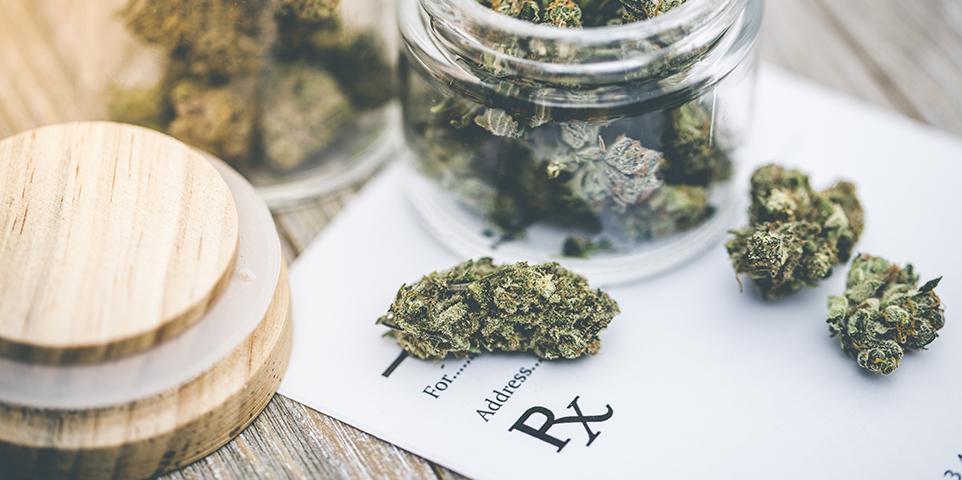 Spotlight on: marijuana and employment