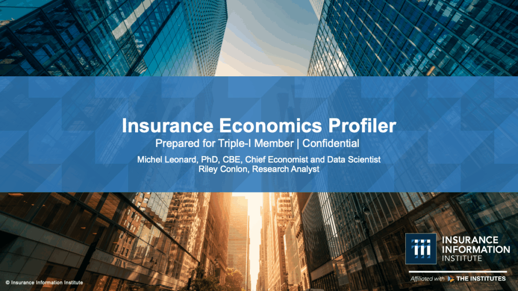 Insurance Economics Profiler