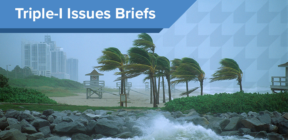 Triple-I Issues Briefs