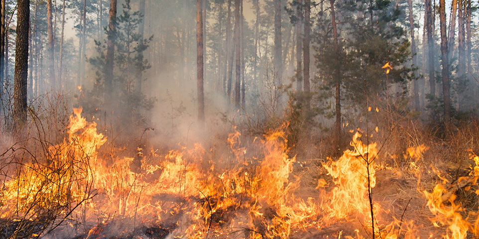 Background on: Wildfires