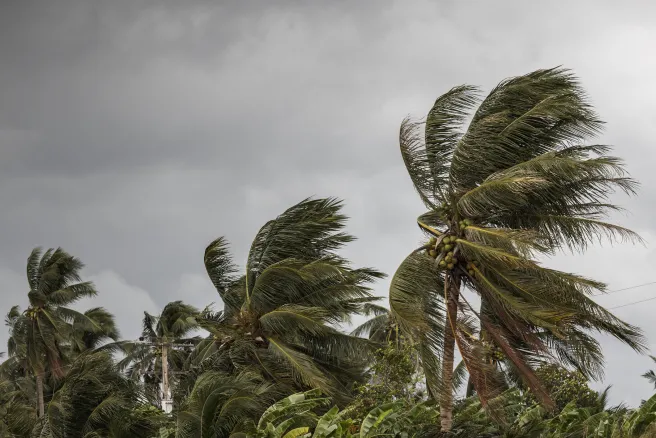 Hurricanes