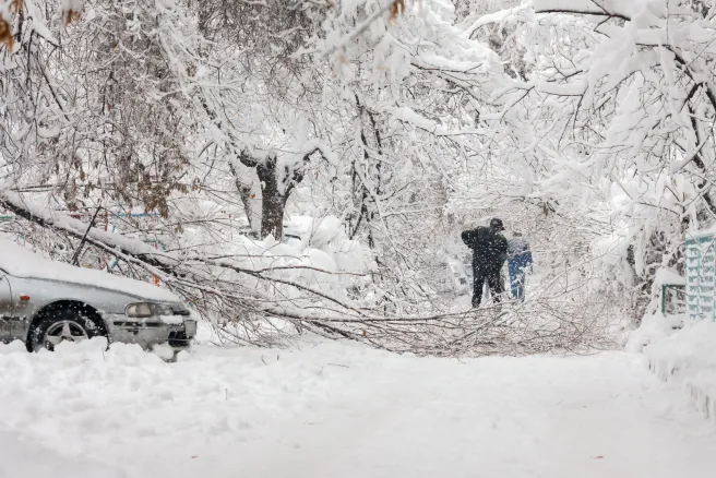 Winter Storms