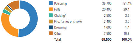 Principal Types Of Home Unintentional Injury Deaths, 2014