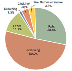 PRINCIPAL TYPES OF HOME UNINTENTIONAL INJURY DEATHS, 2013