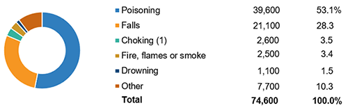 Principal Types Of Home Unintentional Injury Deaths, 2015