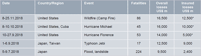 Top 5 World Costliest Natural Catastrophes By Overall Losses, 2018 (1)