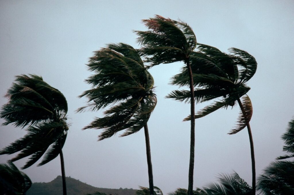 How Hurricane Lala Could Complicate Claims